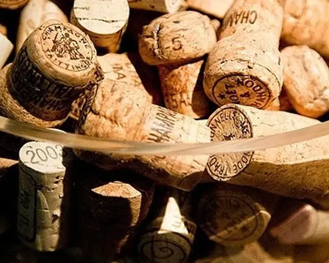 7a6ff948 e637 4a3e 85a1 c32e30dfa7f0